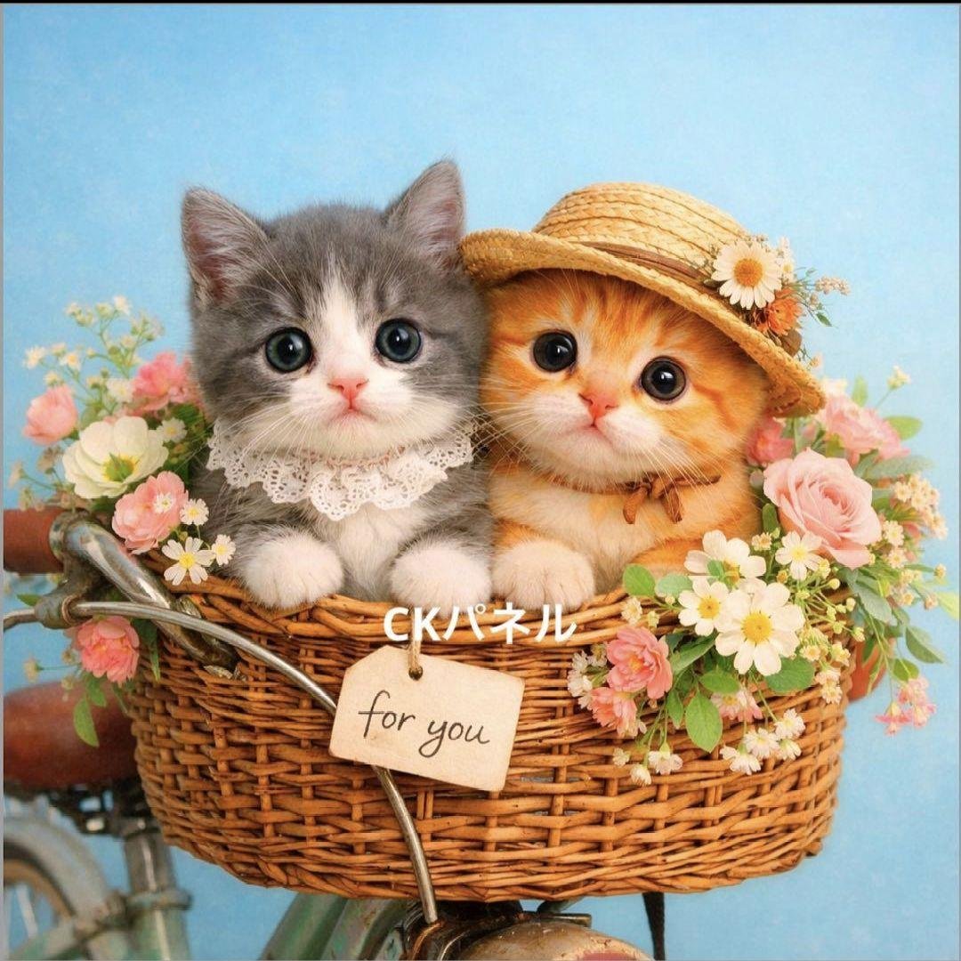 オーダー用猫ちゃんパネルサンプルページ 弐