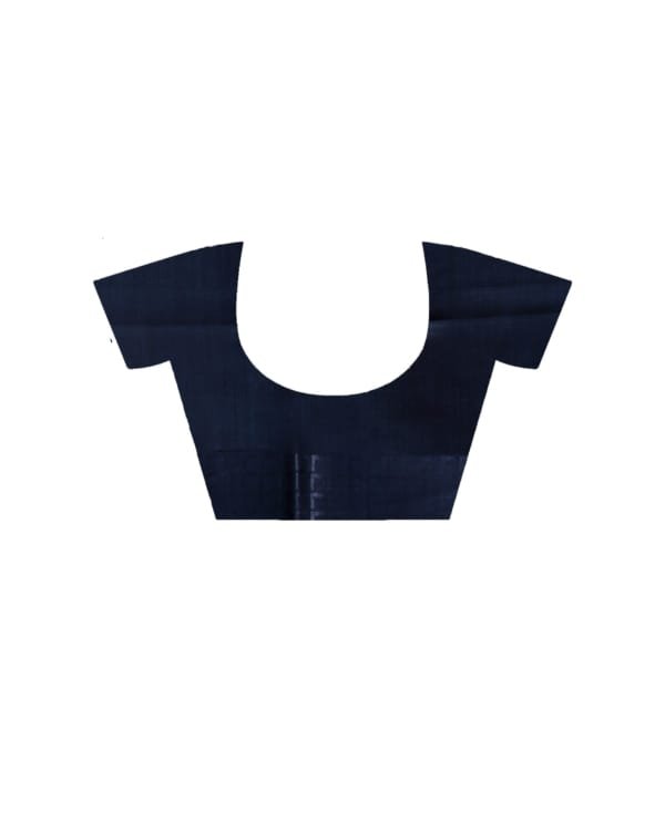 Nakshipar Muga Tussar saree